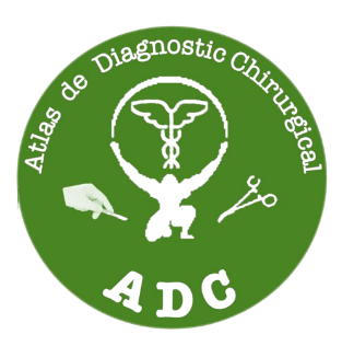 Atlas ADC logo